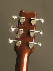 Rainsong Graphite Guitars: Vintage Burst APLE (Al Petteway Sig Model)