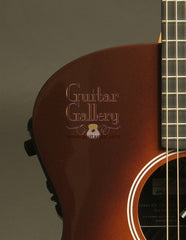 Rainsong Graphite Guitars: Vintage Burst APLE (Al Petteway Sig Model)