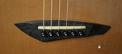 Bashkin Placencia OM guitar bridge