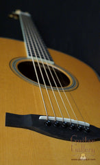 Santa Cruz Bob Brozman Baritone guitar 