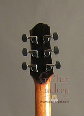 Beneteau Guitar: Used Macassar Ebony M