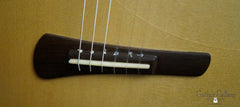 Tom Bills Fanned Fret Nylon string guitar bridge