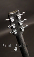 Rainsong BI-WS1000N2 guitar headstock back