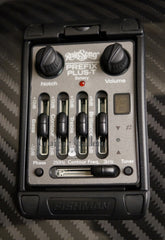 Rainsong BI-WS1000N2 guitar controls