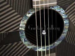 Rainsong BI-WS1000N2 guitar rosette