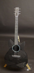 Rainsong BI-WS1000N2 guitar