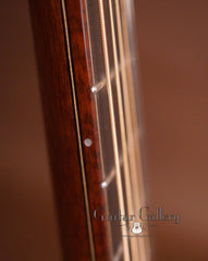 Beauregard SJ guitar fretboard side dots