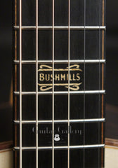 Bushmills X Lowden guitar inlay