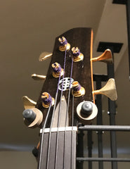 Berkowitz acoustic bass headstock