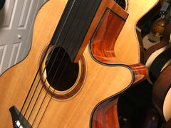 Berkowitz acoustic bass cutaway