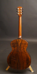 Bresnan GS Brazilian rosewood guitar full back
