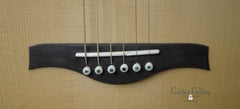 Bresnan GS Brazilian rosewood guitar FI pins