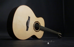 Bresnan GS Brazilian rosewood guitar glam shot
