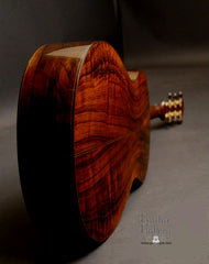 Bresnan GS Brazilian rosewood guitar glam shot back