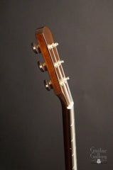 Bresnan guitar headstock side