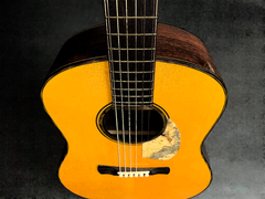 Brondel D1 Brazilian rosewood guitar artistic rendering