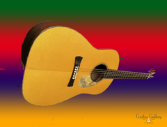 Brondel D1 guitar Brazilian rosewood guitar art photo