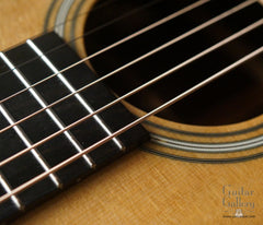 Collings 02H guitar rosette detail