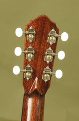 CB Guitars (Bozung) Guitar: Brazilian Rosewood J on SALE