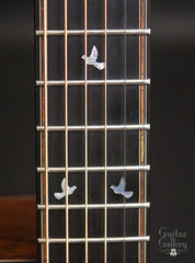 Charis SJ guitar fretboard