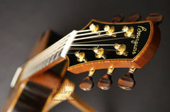 Dana Bourgeois Jumbo cutaway guitar