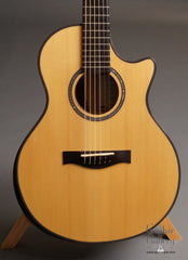 DT De La Rosa guitar top