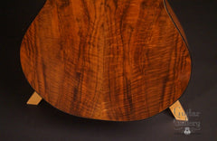 McElroy guitar back low