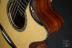 Everett Alienzo guitar cutaway