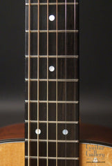 Elysian guitar fretboard