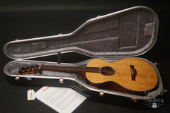 Elysian guitar inside case