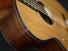 Elysian E12 guitar detail