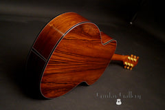 Elysian guitar Honduran rosewood back