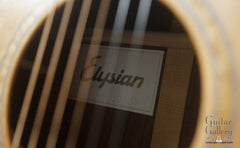 Elysian guitar interior label
