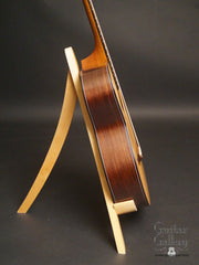 Elysian E12 guitar side