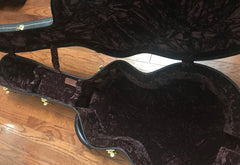 Ensor guitar case interior