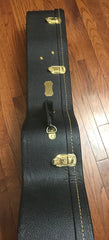 Ensor guitar case