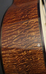 sapele Ensor guitar side