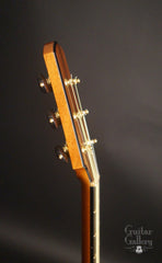 Fay Guitar with Alessi tuning machines