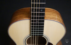 Froggy Bottom M dlx guitar fretboard detail