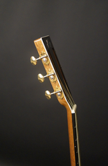 Froggy Bottom P12 Ltd Twin Brazilian rosewood guitar gold waverly tuners