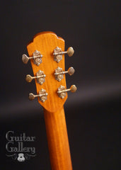 Sexauer guitar headstock back