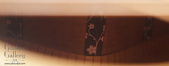 Sexauer guitar interior strips