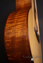 Sexauer FT-15-C guitar side detail