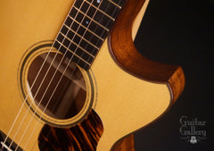 Sexauer FT-15-C guitar cutaway