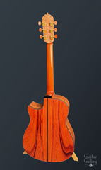 Fujii mod D guitar full back view