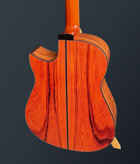 Fujii mod D guitar Asian rosewood back & sides