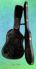 Fujii mod D guitar case interior