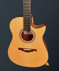 Fujii mod D guitar with Adirondack spruce top
