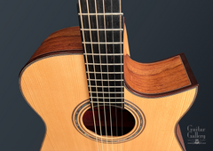 Fujii mod D guitar ebony fretboard