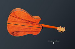 Fujii mod D guitar glam shot back